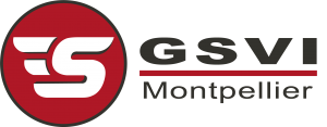 Wifi : Logo Gsvi Montpellier